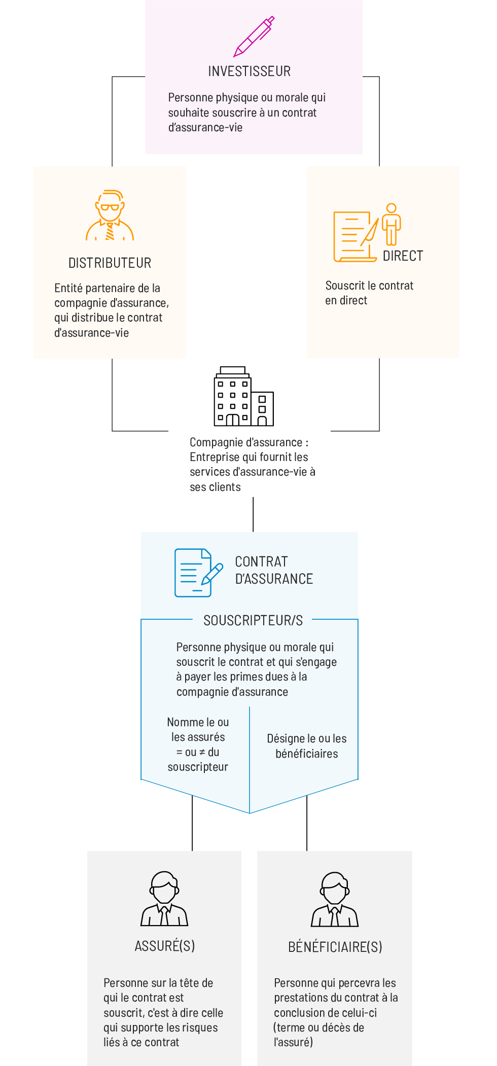 Schéma contrat assurance-vie