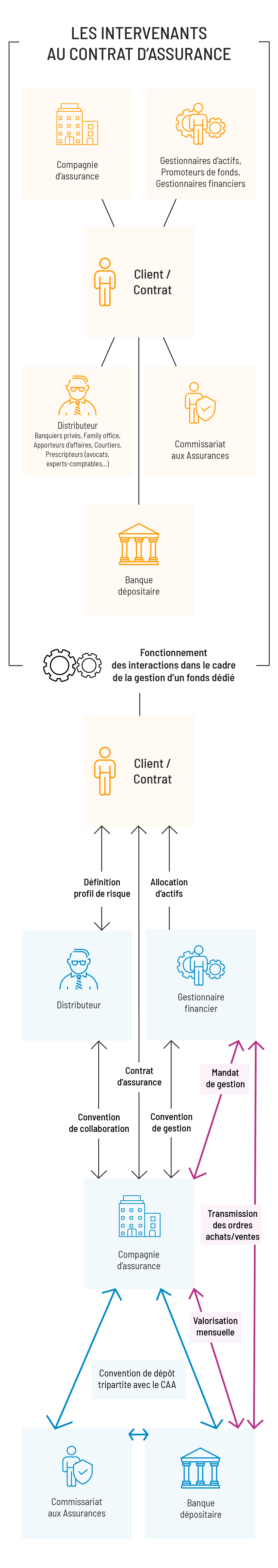 Les intervenants au contrat d’assurance