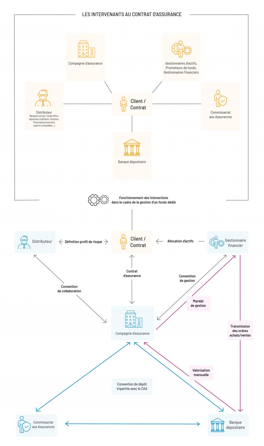 Les intervenants au contrat d’assurance