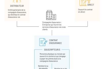 Schéma du fonctionnement du contrat